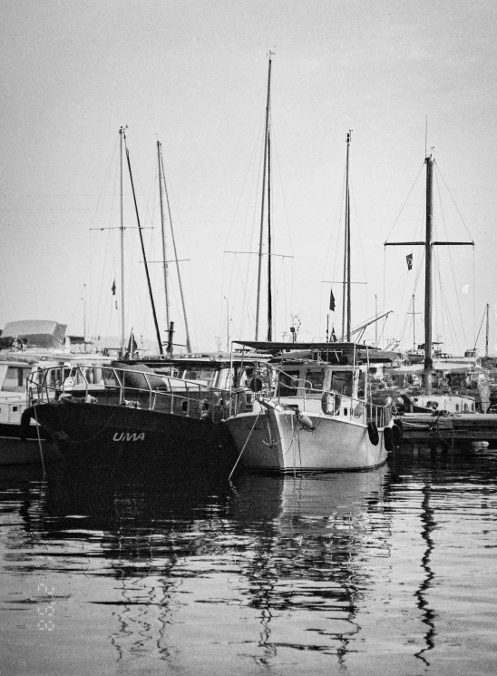several sailboats parked at a dock in a large body of water