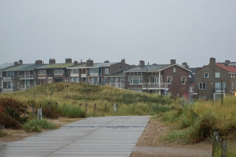 some houses and bushes on the shore of a pond