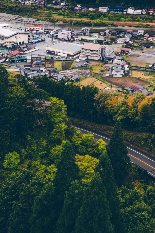 a city with a lot of lots of trees