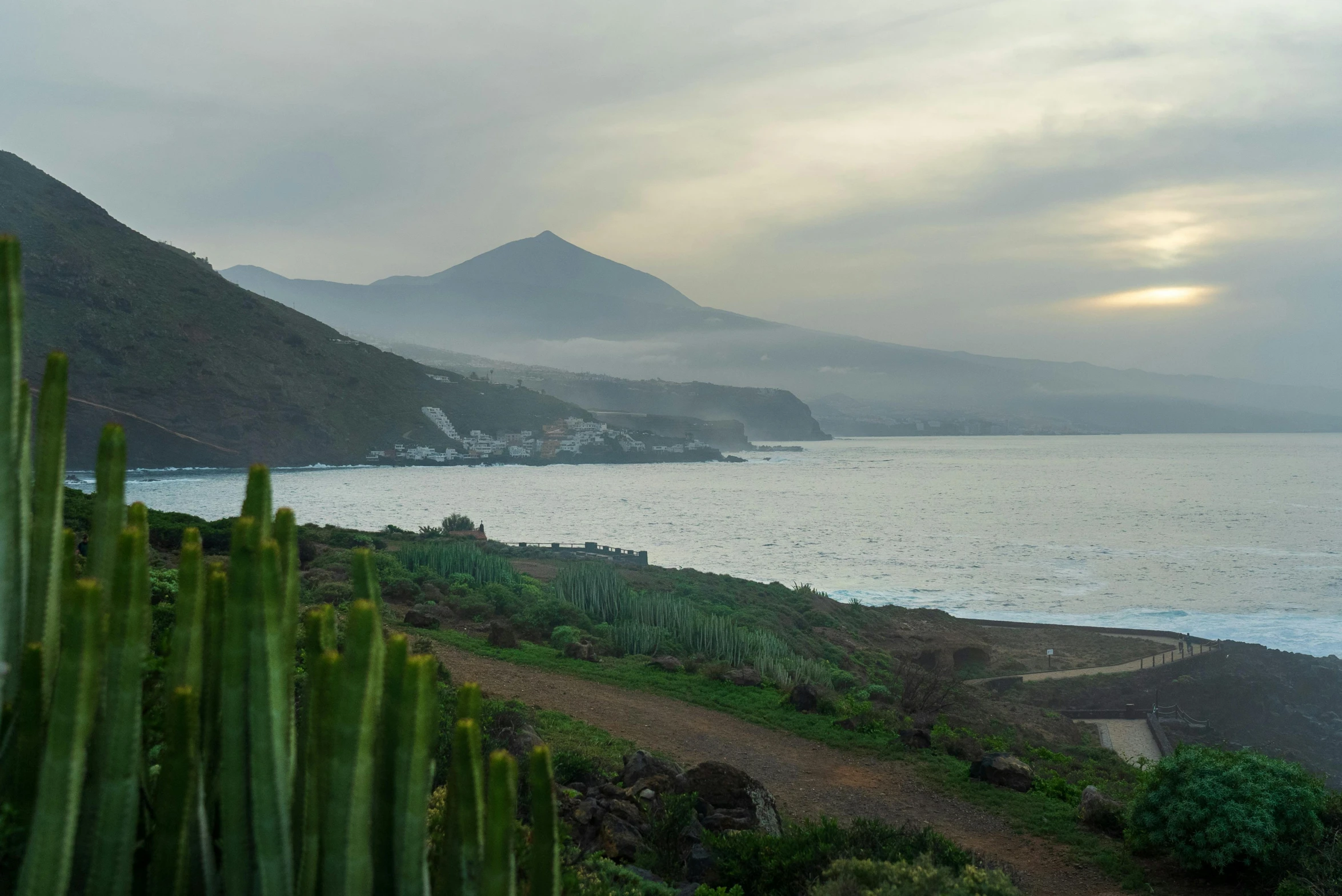 a path going down to a beach with some mountains in the background