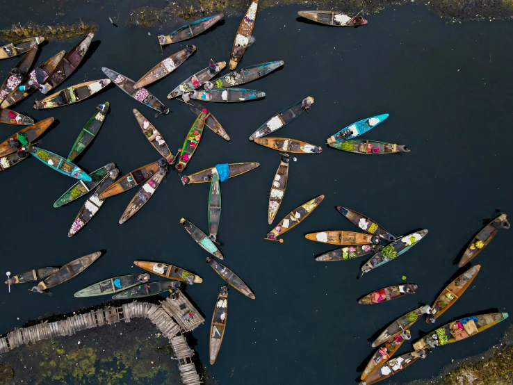 a group of boats tied to poles in the water