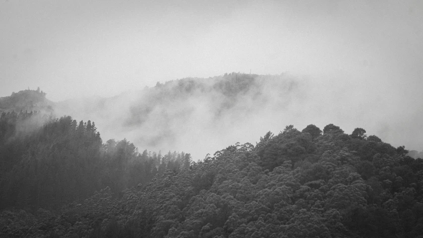 the top of a mountain is covered in fog