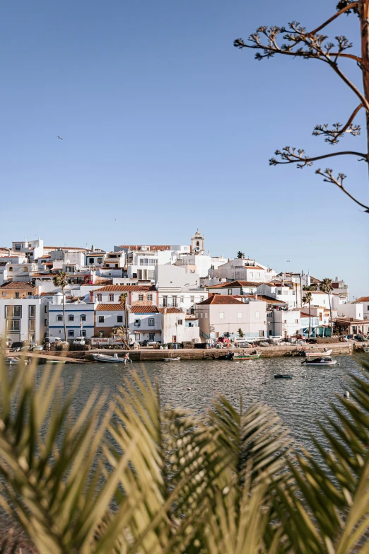 a bunch of small white buildings sitting on the shore