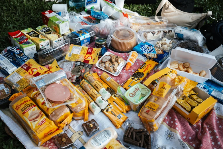 a picnic is full of snacks, cheeses and meats