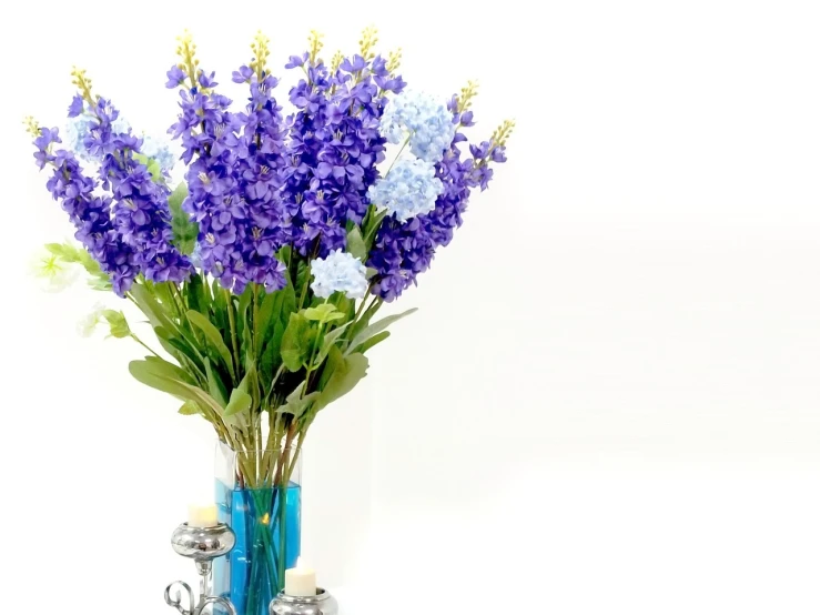 a vase filled with purple and blue flowers, shutterstock, highkey, background image, festivals, blue delphinium