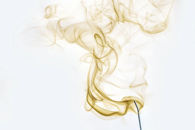 a close up of a cigarette with smoke coming out of it, by Elizabeth Charleston, minimalism, whip, gradient white to gold, incense, made with photoshop
