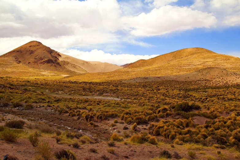 a man riding a horse through a lush green field, inspired by Antonín Chittussi, flickr, constructed upon salar de uyuni, panoramic view, ocher, 7 7 7 7