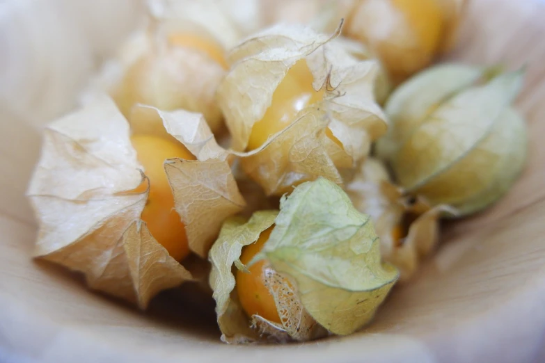 a bowl that has some kind of fruit in it, a macro photograph, salvia, yellowed, close-up photo