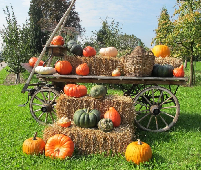 a wagon filled with lots of pumpkins and hay, shutterstock, outdoor photo, set photo, 17th-century, 2 0 1 0 photo