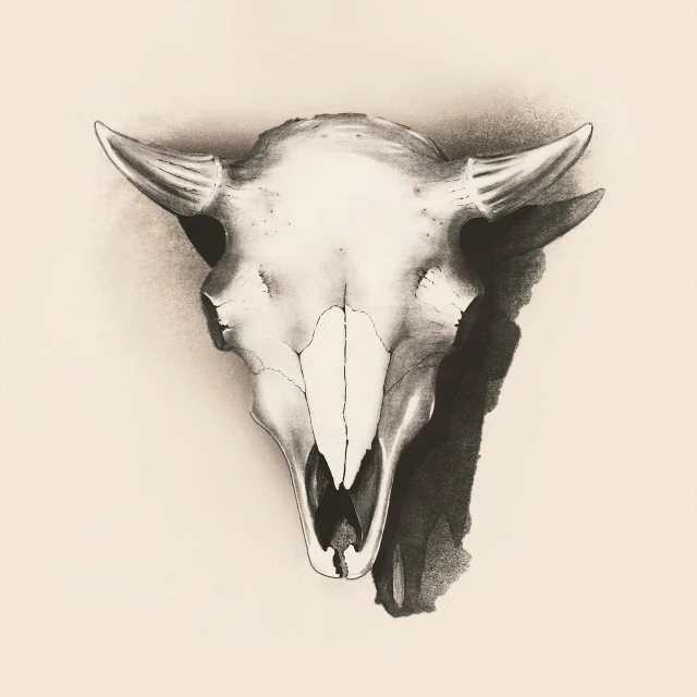 a black and white drawing of a cow's skull, fine art, duotone, tonalism illustration, horse head animal merge, full color illustration