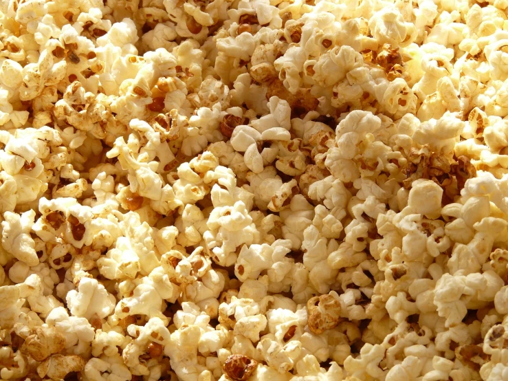 a pile of popcorn sitting on top of a table, by Edward Corbett, hurufiyya, detailed zoom photo, “organic, light tan, large screen