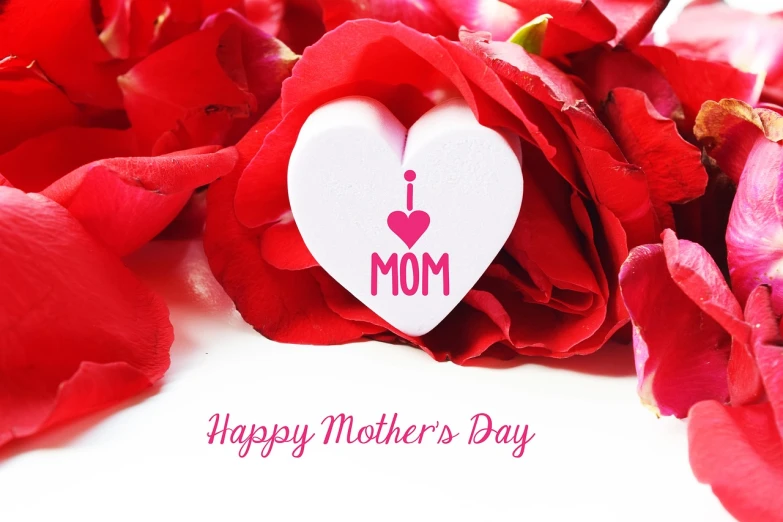 a mother's day card surrounded by red roses, a picture, heart, white background : 3, - i, high res photo