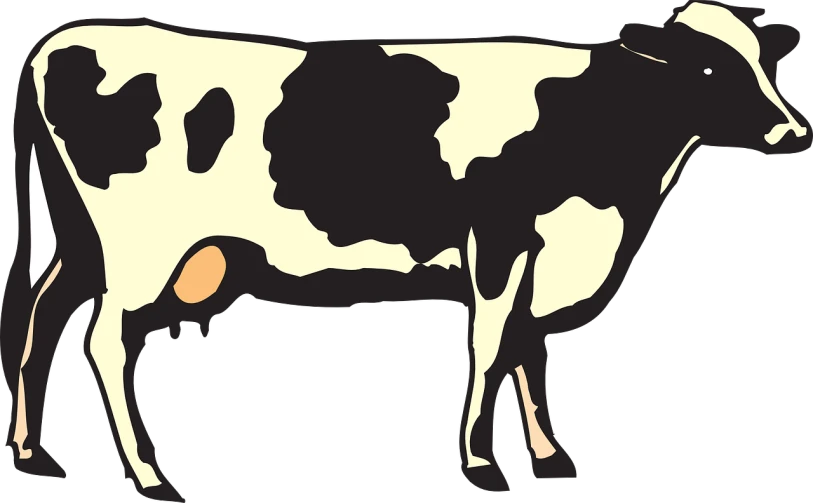 a black and white cow standing in a field, a cartoon, inspired by Aelbert Cuyp, pixabay, conceptual art, standing with a black background, white with chocolate brown spots, butter, stylized silhouette