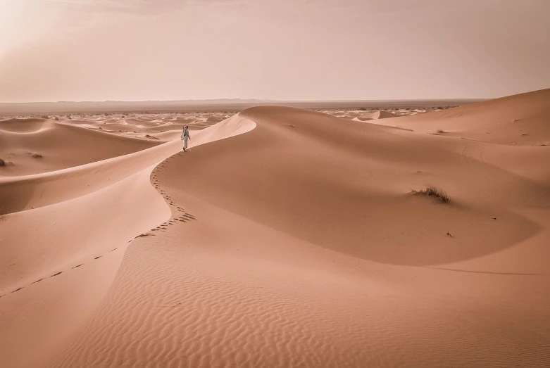 a person standing in the middle of a desert, a picture, by Etienne Delessert, les nabis, people walking in the distance, sandy colours, mikko, orientalisme