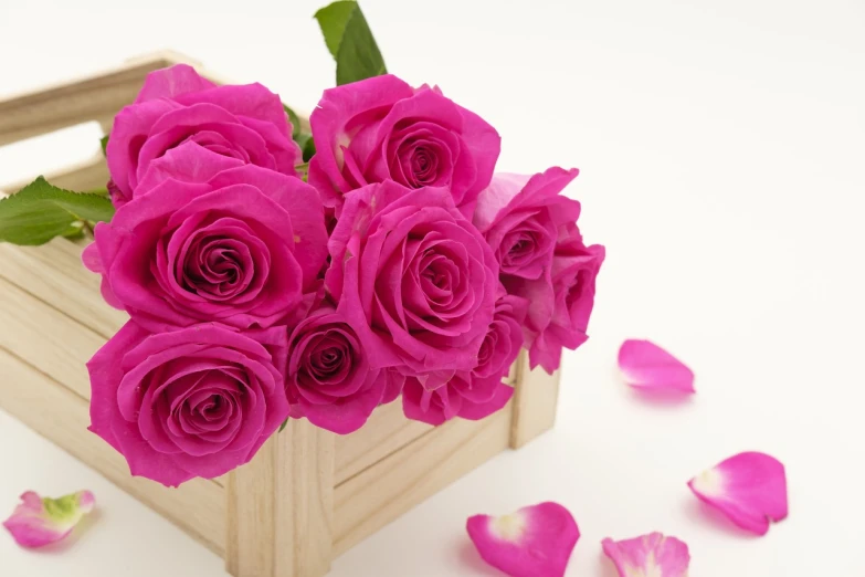 a bunch of pink roses in a wooden box, smooth fuschia skin, beautiful flower, best selling, kawaai