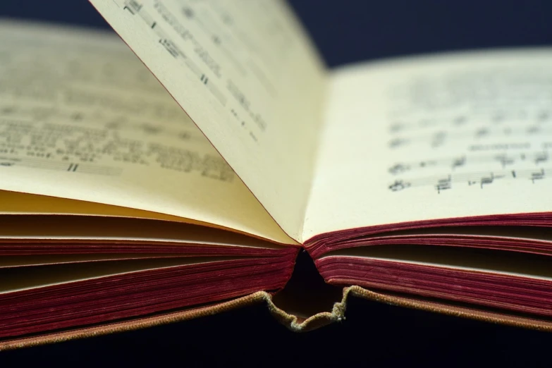 an open book sitting on top of a table, a macro photograph, pexels, mingei, note detailed, plain background, sheet music, depth detail