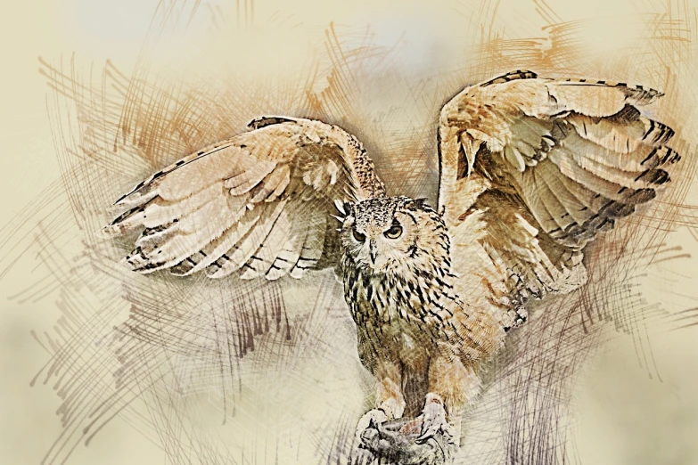 a drawing of an owl with its wings spread, digital art, inspired by Robert Bateman, trending on pixabay, high key, watercolor artwork of exotic, sandman, scribbled