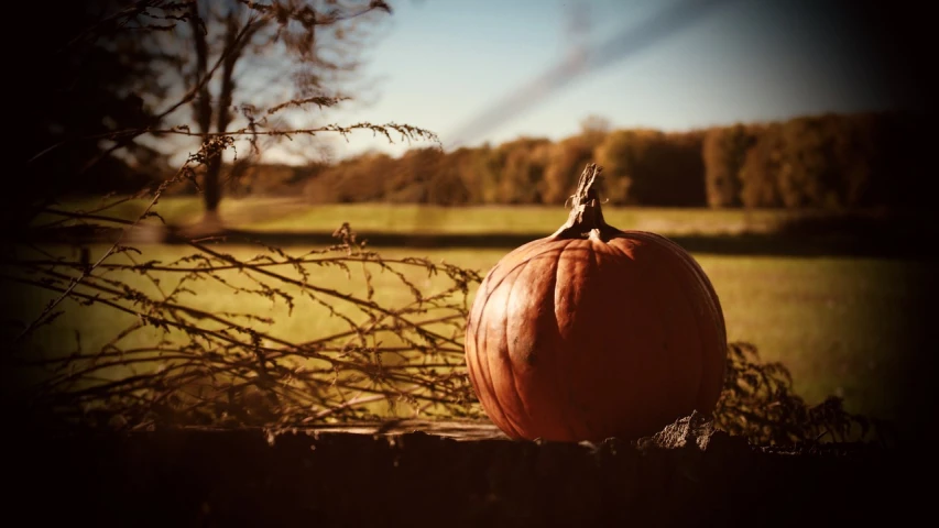 a pumpkin sitting on top of a wooden fence, a picture, by Jesper Knudsen, dof and bokeh, (by tom purvis), countryside, various posed