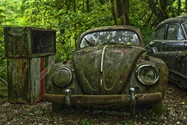 a couple of old cars parked next to each other, by Matthias Weischer, pixabay contest winner, photorealism, beetles running through the moss, abandoned car garage, placed in a lush forest, slightly dirty face