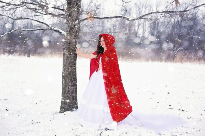 a woman dressed as a red riding hood in the snow, inspired by Dorothy Hood, tumblr, fantasy art, long white cape, beautiful princess, against the backdrop of trees, cute beautiful