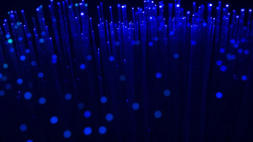 a close up of a bunch of blue lights, by Tadashi Nakayama, flickr, digital art, optical fiber, 4 k vertical wallpaper, cyber installation, blue grass