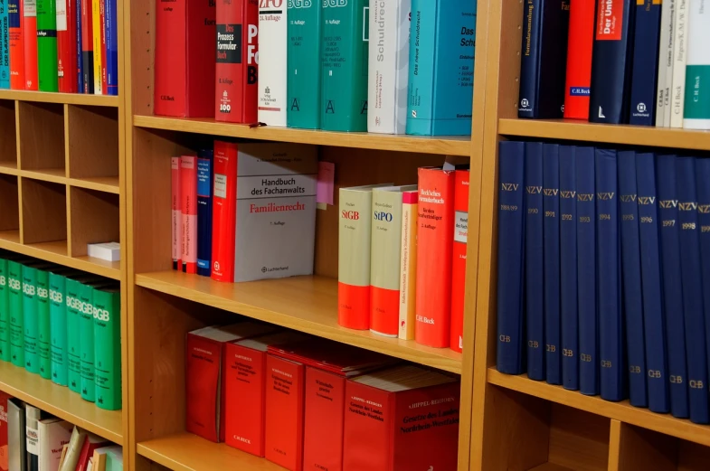 a bookshelf filled with lots of different colored books, a stock photo, by Thomas Häfner, flickr, female lawyer, in the office, formulas, detailed screenshot