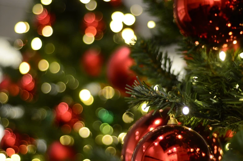 a close up of a red ornament on a christmas tree, pexels, realism, lights inside, background image, green and red, group photo