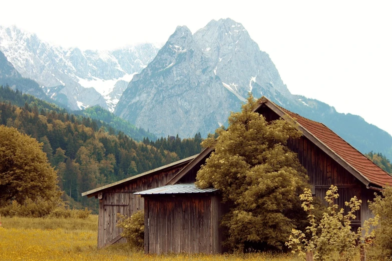 a barn in a field with mountains in the background, a picture, by Franz Hegi, pexels, folk art, autumn overgrowth, complex and desaturated, german forest, various posed