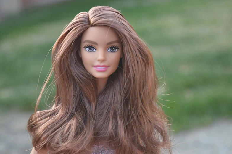 a close up of a doll with long brown hair, a picture, flickr, pop art, plastic barbie doll, shot on canon camera, light brown neat hair, long windy hair style