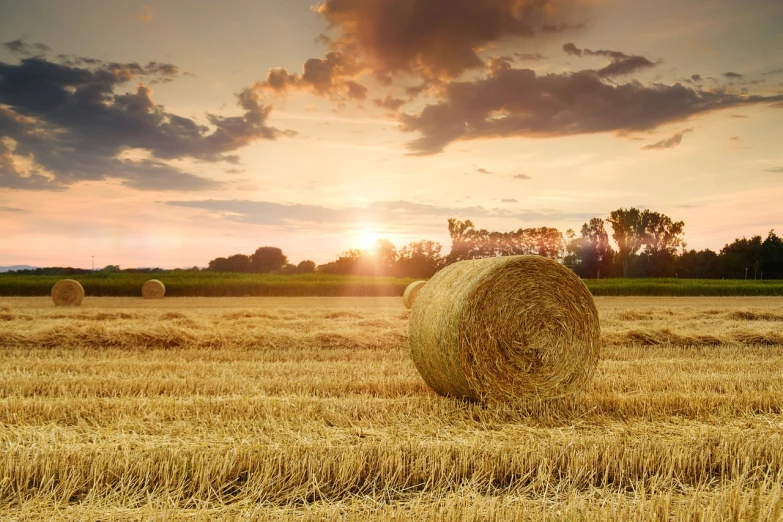 a field of hay with a sunset in the background, shutterstock, ball, pillar, landscape photo