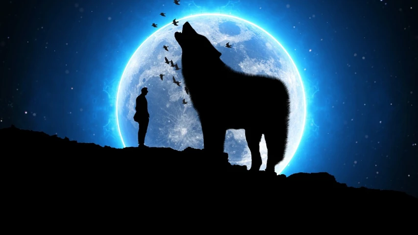 a wolf standing on top of a hill next to a person, an illustration of, shutterstock, moonwalker photo, stock photo, sous la pleine lune, profile shot