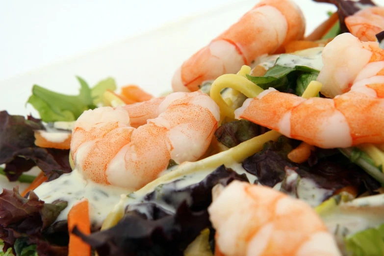 a close up of a salad with shrimp and lettuce, a picture, by Aleksander Gierymski, avatar image, pasta, closeup - view, dessert