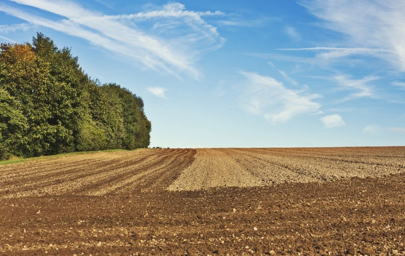 a plowed field with trees in the background, shutterstock, figuration libre, bottom angle, wide-screen, english countryside, depth of feild