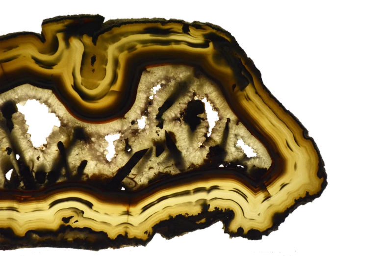 a slice of agate sitting on top of a table, a microscopic photo, flickr, conceptual art, rorsach path traced, 2 0 th century, highly detailed rock structures, top view