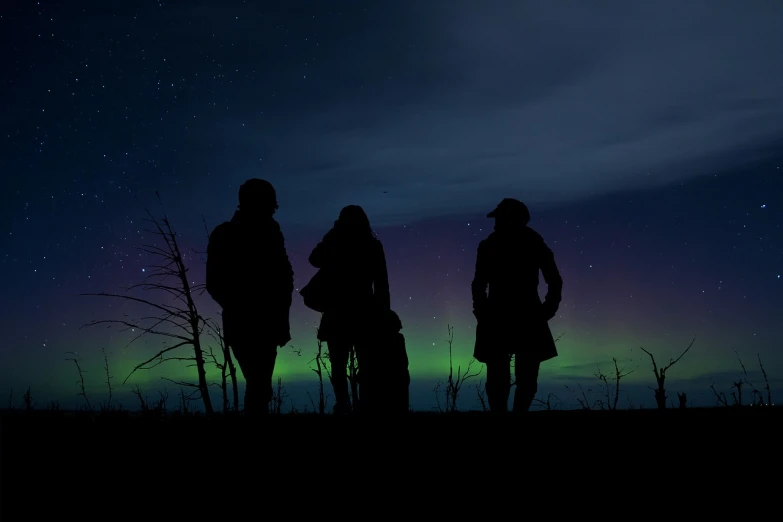 a group of people standing on top of a grass covered field, a portrait, by Anato Finnstark, romanticism, northern lights background, silhouette :7, very accurate photo, outdoor photo