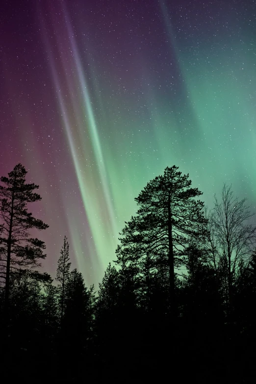 a sky filled with lots of green and purple lights, a picture, by Anato Finnstark, shutterstock, nordic forest colors, nacreous lights, winter night, green blue red colors