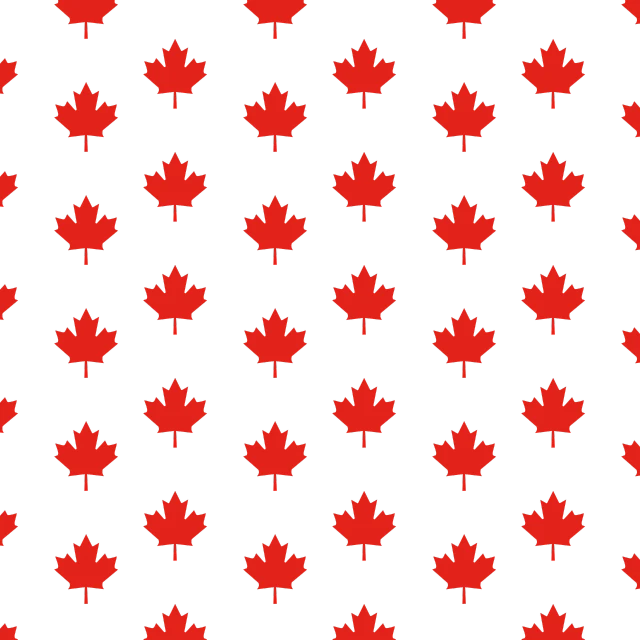 a pattern of red maple leaves on a black background, symbolism, flags, minimalist wallpaper, the city of toronto, checkerboard background