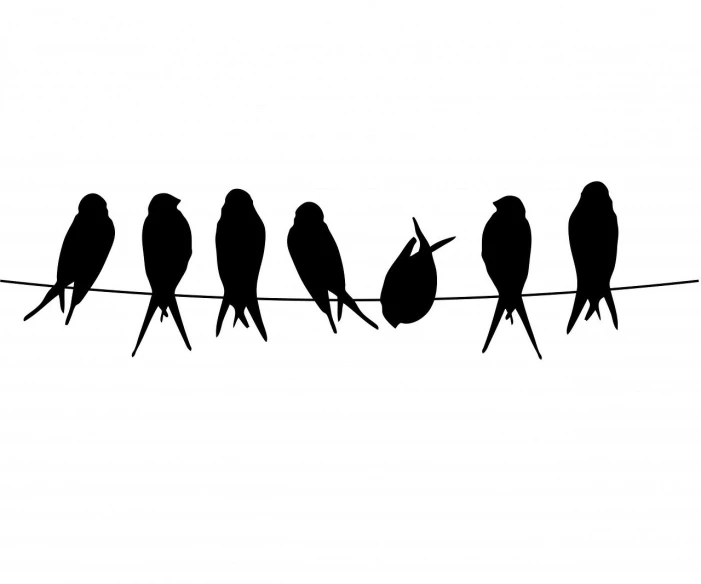 a line of birds sitting on top of a wire, trending on pixabay, minimalism, thick black lineart, istock, swift, group of seven