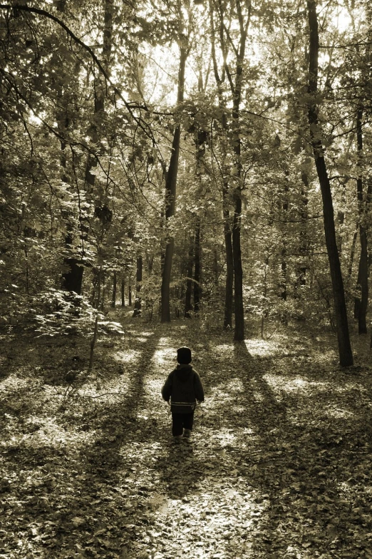 a black and white photo of a person walking in the woods, inspired by Ivan Shishkin, tonalism, little boy, sepia sunshine, tourist photo, foto