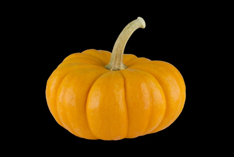 a small orange pumpkin on a black background, hurufiyya, high detail product photo, accurate and detailed, hires, octa 8k