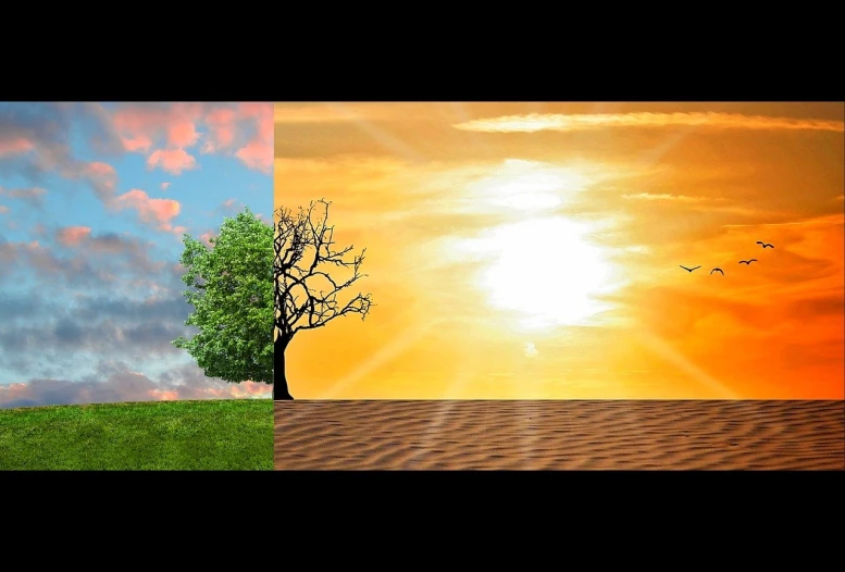 a tree sitting on top of a grass covered field, a digital rendering, by Jon Coffelt, trending on pixabay, environmental art, heatwave, image split in half, desert transition area, four seasons