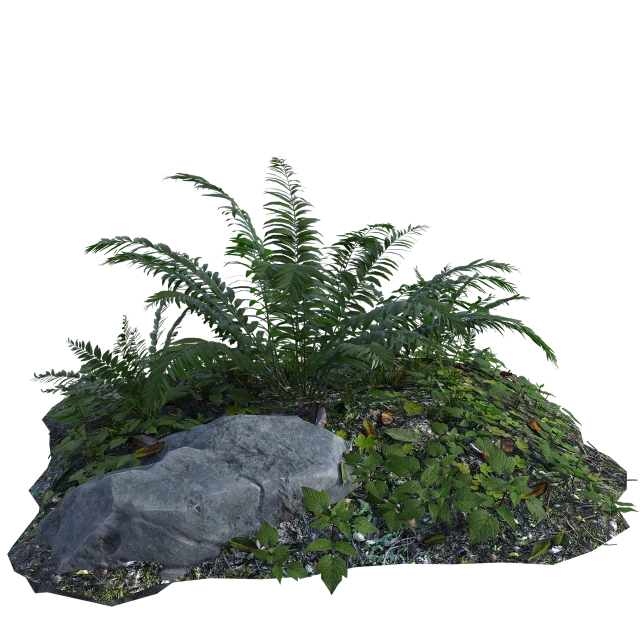 a plant that is growing out of a rock, by senior environment artist, realism, lush vegetation with ferns, dark vignette, ferns and mold on concrete, subsurface scatter