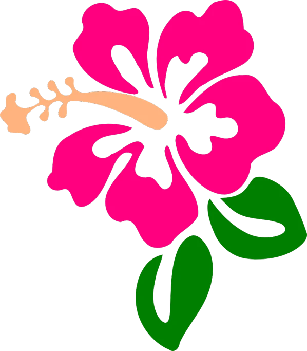 a pink flower with green leaves on a black background, inspired by Masamitsu Ōta, tiki, ¯_(ツ)_/¯, hibiscus, profile pic
