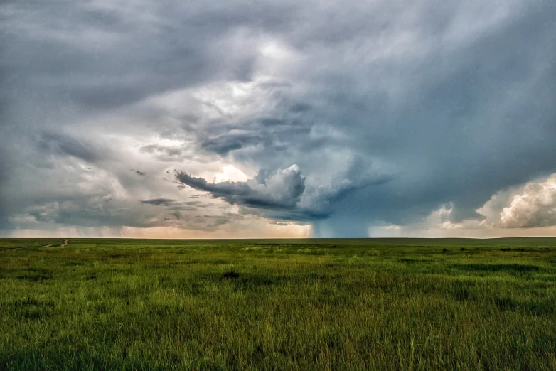 a field full of green grass under a cloudy sky, a picture, by Robert Storm Petersen, unsplash, giant cumulonimbus cloud, african steppe, scientific photo, storm in the evening