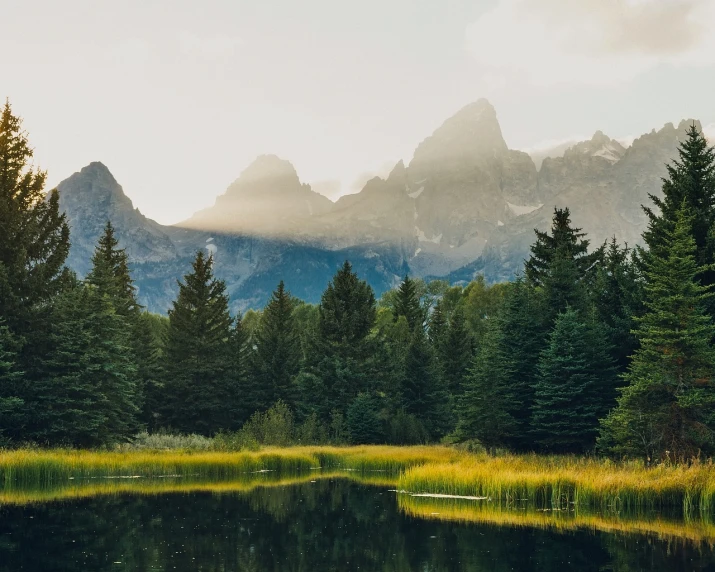 a body of water surrounded by trees and mountains, inspired by Ethel Schwabacher, unsplash, meadows, wyoming, post processed 4k, cinematic morning light