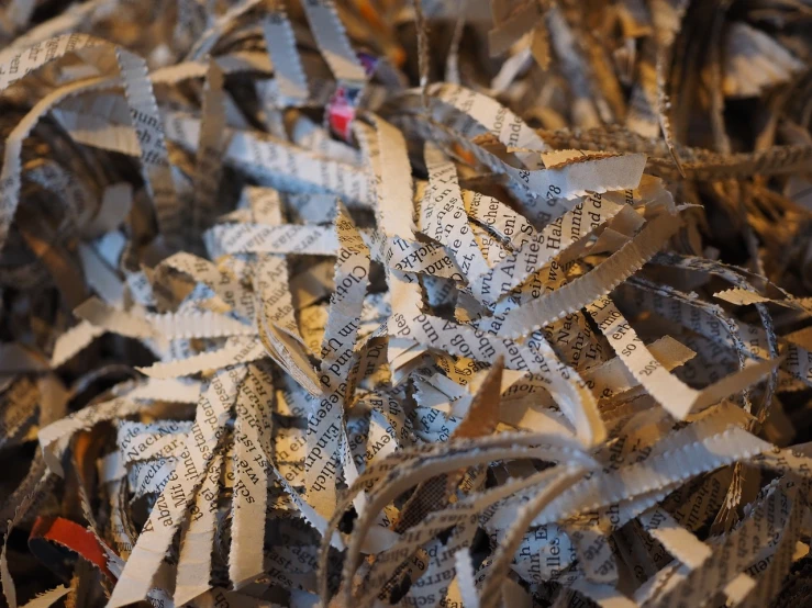 a pile of shredded paper sitting on top of a table, by Jan Konůpek, pexels, laser cut textures, fungal pages, ribbon, close up of lain iwakura