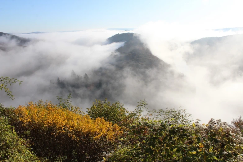 a person riding a horse on top of a lush green hillside, a picture, by Erwin Bowien, pexels, hudson river school, yellow volumetric fog, autumn foliage in the foreground, view above the clouds, pittsburgh