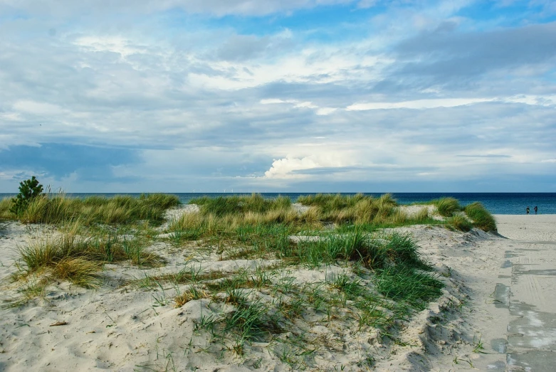 a sandy beach next to the ocean under a cloudy sky, by Konrad Grob, pixabay, grass landscape, july 2 0 1 1, soft-sanded coastlines, late summer evening