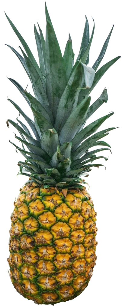 a close up of a pineapple on a black background, a portrait, by Arnie Swekel, photo real ultra high detail, complete body view, detailed color scan, photorealistic and intricate