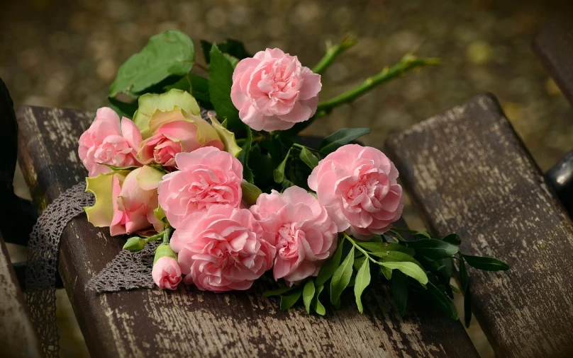 a bunch of pink flowers sitting on top of a wooden bench, a picture, by Maksimilijan Vanka, pixabay, romanticism, crown of peach roses, 17th-century, carnation, looks realistic